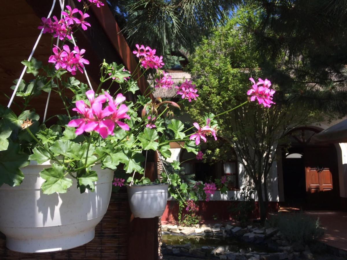 Oereghaz 1839 Hotel Csopak Buitenkant foto